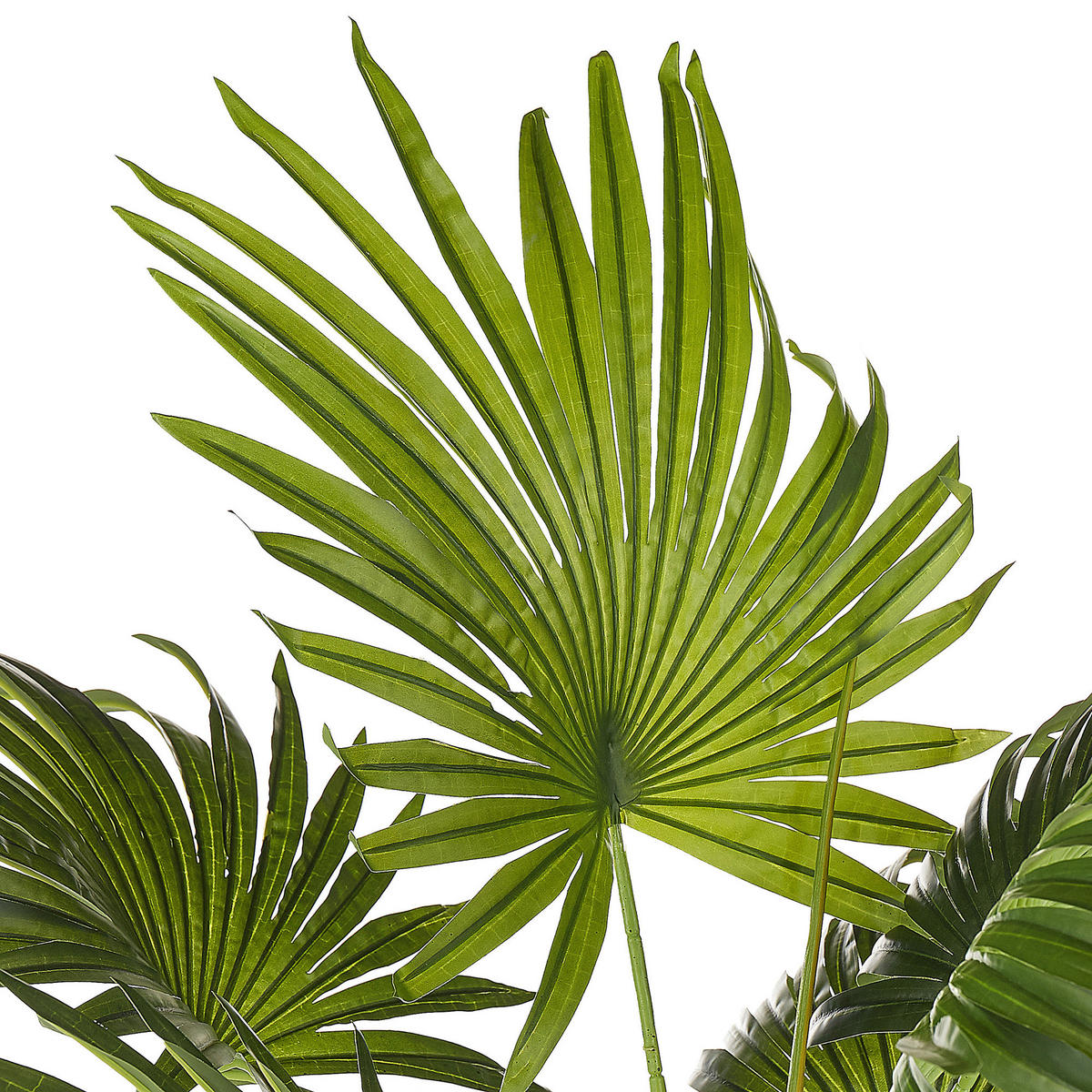 KUNSTPFLANZE 100 cm Grün Fan Palm - Schwarz/Grün, Kunststoff (100cm) - Beliani
