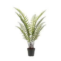 KÜNSTLICHER Woodwardia Farn - Golo 90 cm - Grün, Kunststoff (90cm) - Emerald