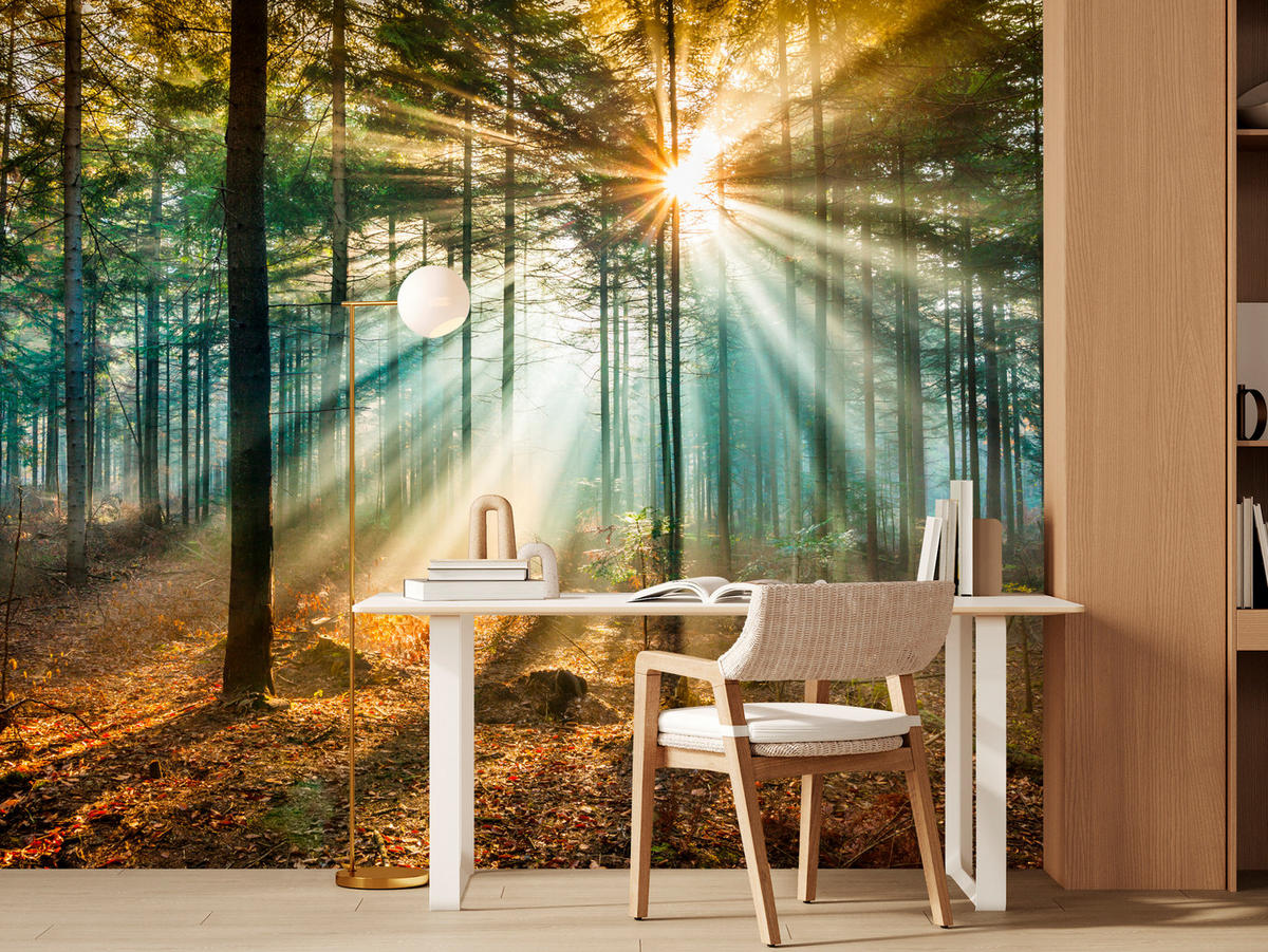FOTOTAPETE für Wohnzimmer Herbstwald Sonnenuntergang Bäume Natur 500x350 - Beige/Gelb, Papier (500/350cm) - Muralo