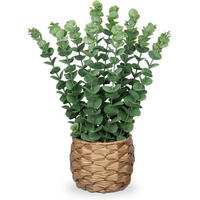 KUNSTPFLANZE Eukalyptus 39 cm Grün im Seegras Topf - Grün, Kunststoff (39cm)