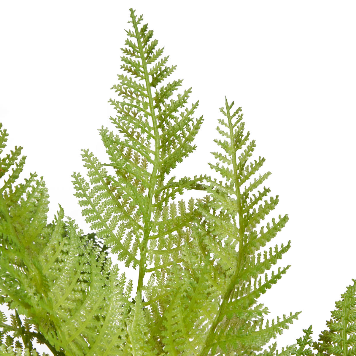 KUNSTPFLANZE Künstlicher Frauenfarn - Jupi 47 cm - Grün, Kunststoff (47cm) - aplanta