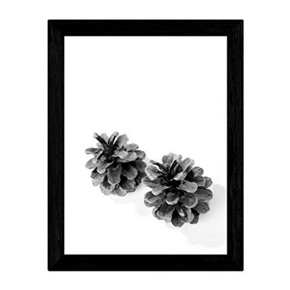 POSTER Pinecone – Schwarz-Weiß A4 Rahmenlos - Klar, Papier (29.7/5/21cm) - Nacnic