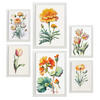 POSTER Set Mit 6 Orangenblüte Größe A3 & A4 Weißer Rahmen - Weiß, Papier (29.7/1cm) - Nacnic