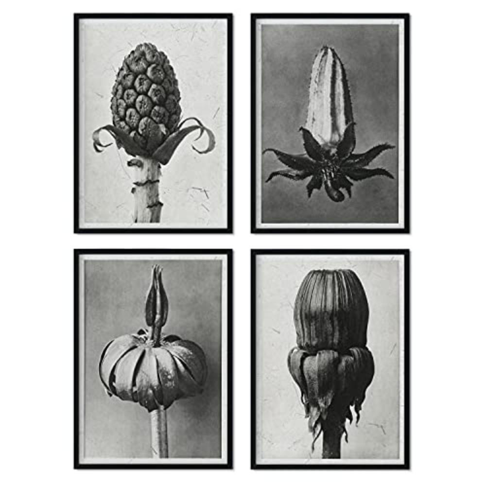POSTER Set mit 4 von Brouts stoppt Blumen und Pflanzen in Grausteinen A3 Rahmenlos - Klar, Papier (29.7/3cm) - Nacnic