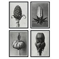 POSTER Set mit 4 von Brouts stoppt Blumen und Pflanzen in Grausteinen A3 Rahmenlos - Klar, Papier (29.7/3cm) - Nacnic