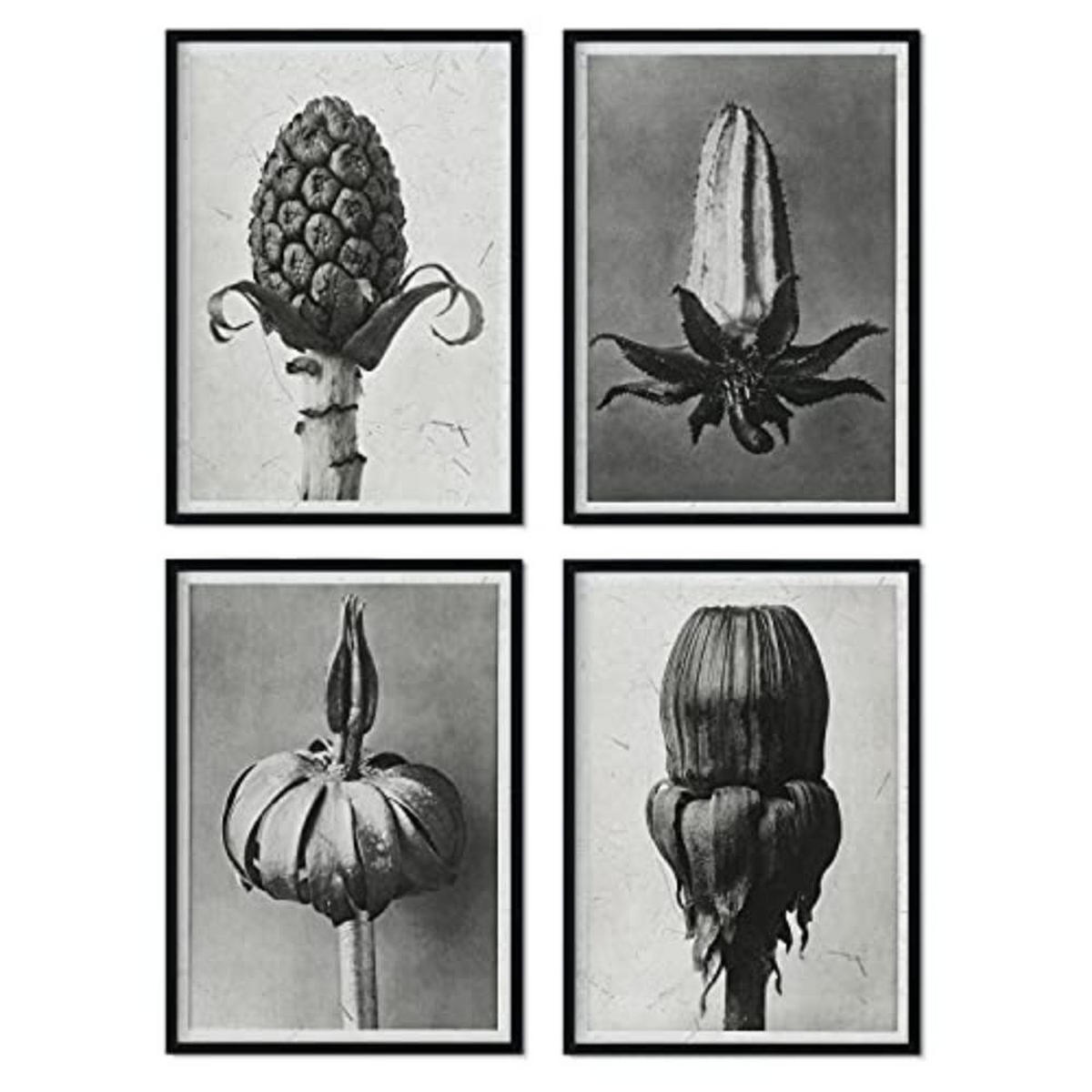 POSTER Set mit 4 von Brouts stoppt Blumen und Pflanzen in Grausteinen A3 Rahmenlos - Klar, Papier (29.7/3cm) - Nacnic