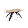 COUCHTISCH Luna Halifax Eiche Natur / Schwarz 120 / 60 / 48cm - Alteiche/Schwarz, Holz/Holzwerkstoff (60/120/48cm) - Feldmann-Wohnen