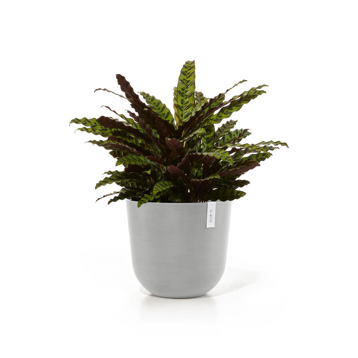 BLUMENTOPF mit Wasserreservoir Oslo 45/39,4 cm Hellgrau - Hellgrau, Kunststoff (45/39.4cm) - Ecopots