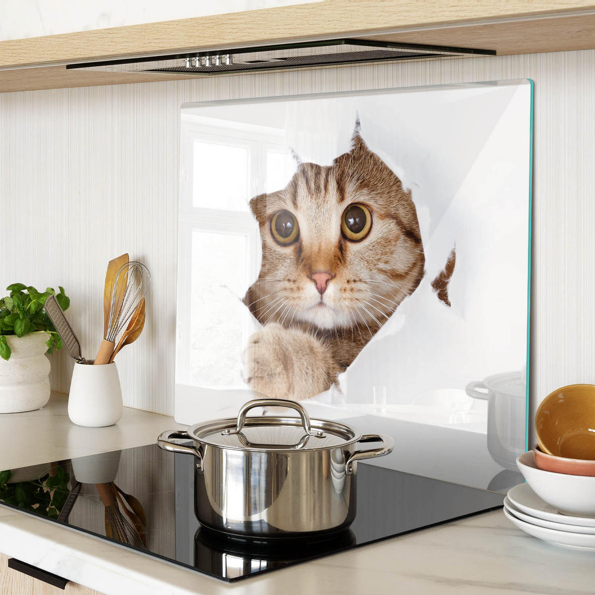 GLASPLATTE 60x52 cm Katze - Beige, Glas (60/52cm) - TULUP
