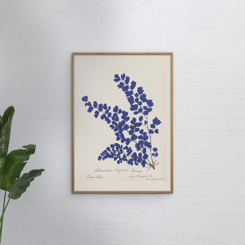 POSTER mit Rahmen Wild Apple - Botanical Fern III Blue - Blau/Eichefarben, Holz/Papier (50/70cm) - Poster&Frame