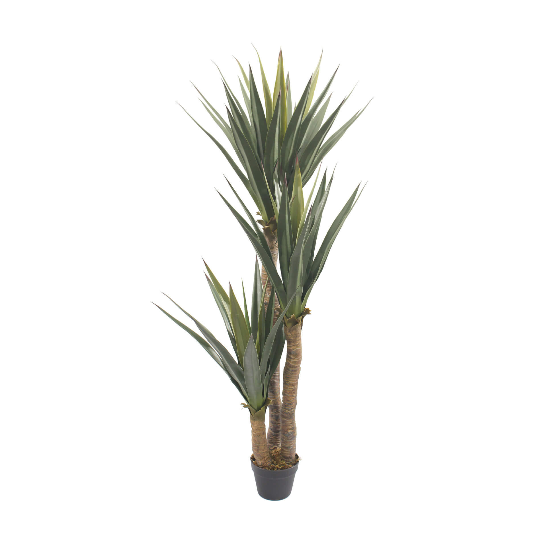 KÜNSTLICHE Yucca 80/80/155 cm - Grün, Kunststoff (150cm) - Mobili Rebecca