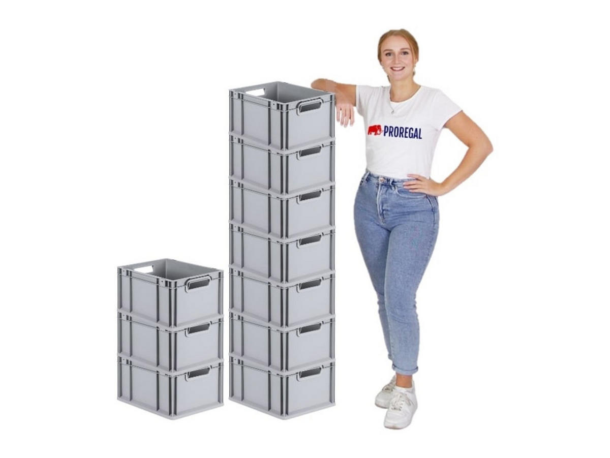 EUROBOX Nextgen Economy Griffe Offen 22x30x40cm 20 Liter - Grau, Kunststoff (30/22/40cm) - PROREGAL