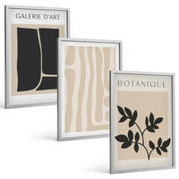 BILDER SET 3er Set - 40x60 cm Silberner Rahmen - Abstrakte Pflanzenformen - Silberfarben, Kunststoff (40/60cm) - TULUP