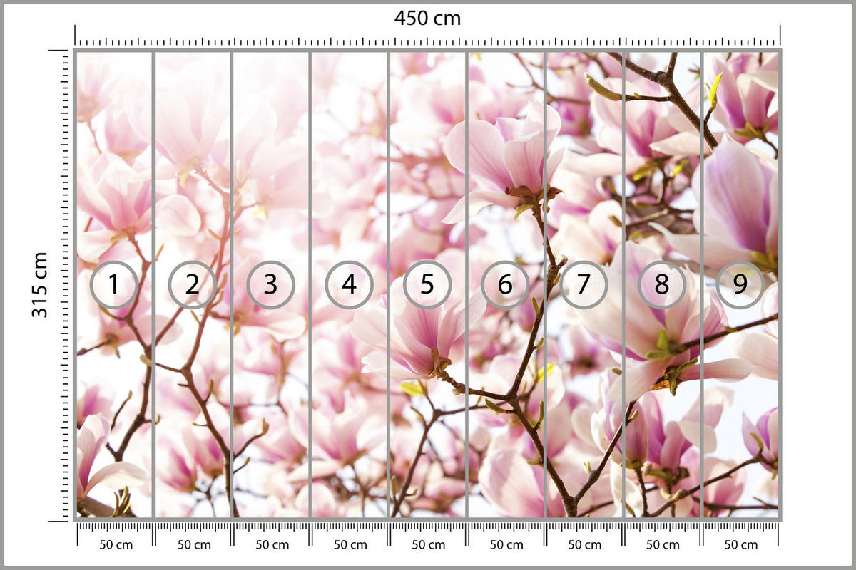 FOTOTAPETE für Schlafzimmer Rosa Magnolienblüten Floral Delikat 450x315 - Violett/Rosa, Papier (450/315cm) - Muralo