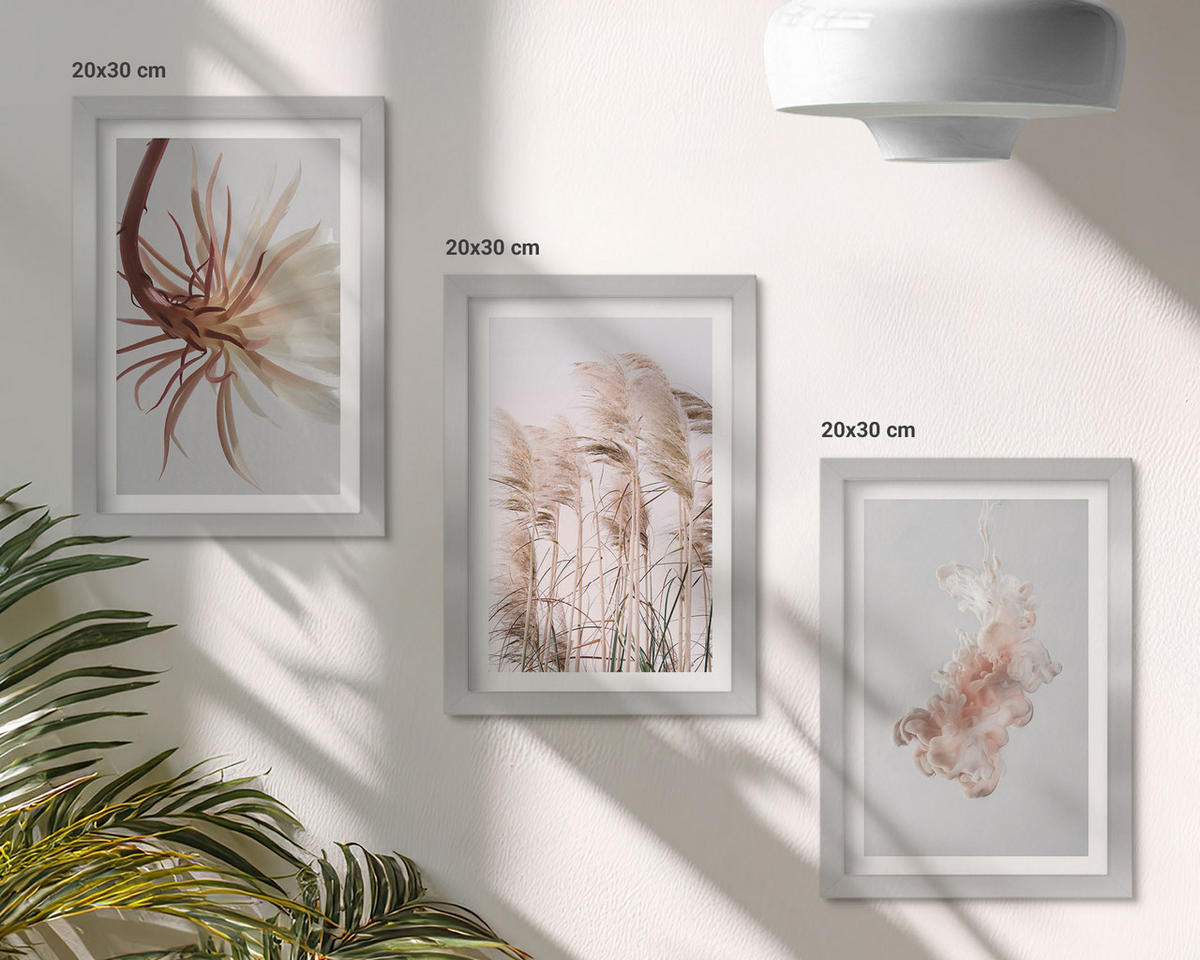 WANDBILDER 3er Set - 20x30 cm Silberner Rahmen - Set aus Gras, Blumen und hellem Hintergrund - Silberfarben, Kunststoff (20/30cm) - ArtPrintCave