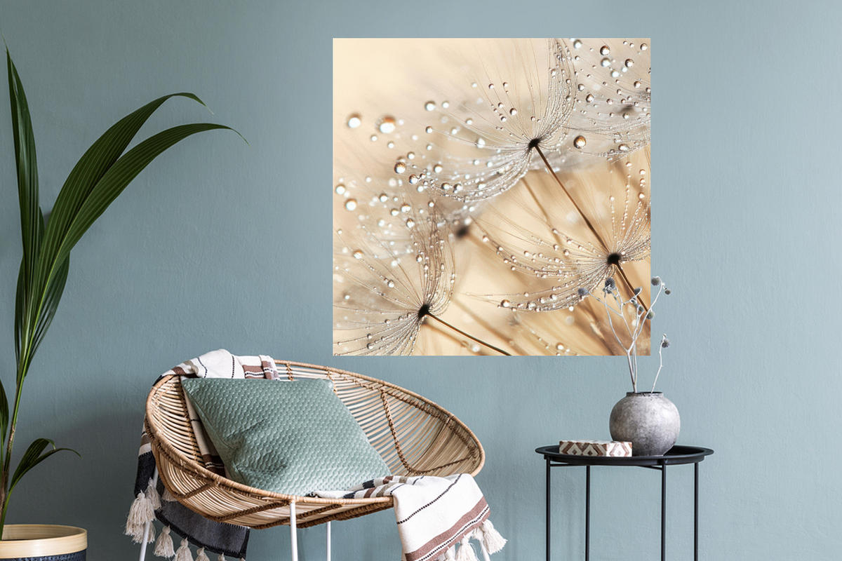 WANDTATTOO Löwenzahn - Abstrakt - Natur - Beige 50x50 cm - Braun, Kunststoff (50/50/0.1cm) - MuchoWow