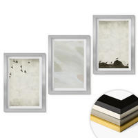 WANDBILDER 3er Set - 20x30 cm Silberner Rahmen - Vögel, Steine, Pinselstriche, Verzierungen - Silberfarben, Kunststoff (20/30cm) - ArtPrintCave
