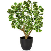 KUNSTPFLANZE Ficus 43 cm Grün & Weiß im schwarzen Topf - Multicolor, Kunststoff (43cm)