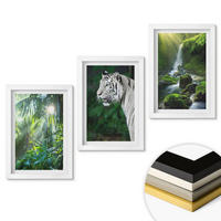 WANDBILDER 3er-Set - 20x30 cm Weißer Rahmen - Dschungeltigerwasserfall - Weiß, Kunststoff (20/30cm) - ArtPrintCave
