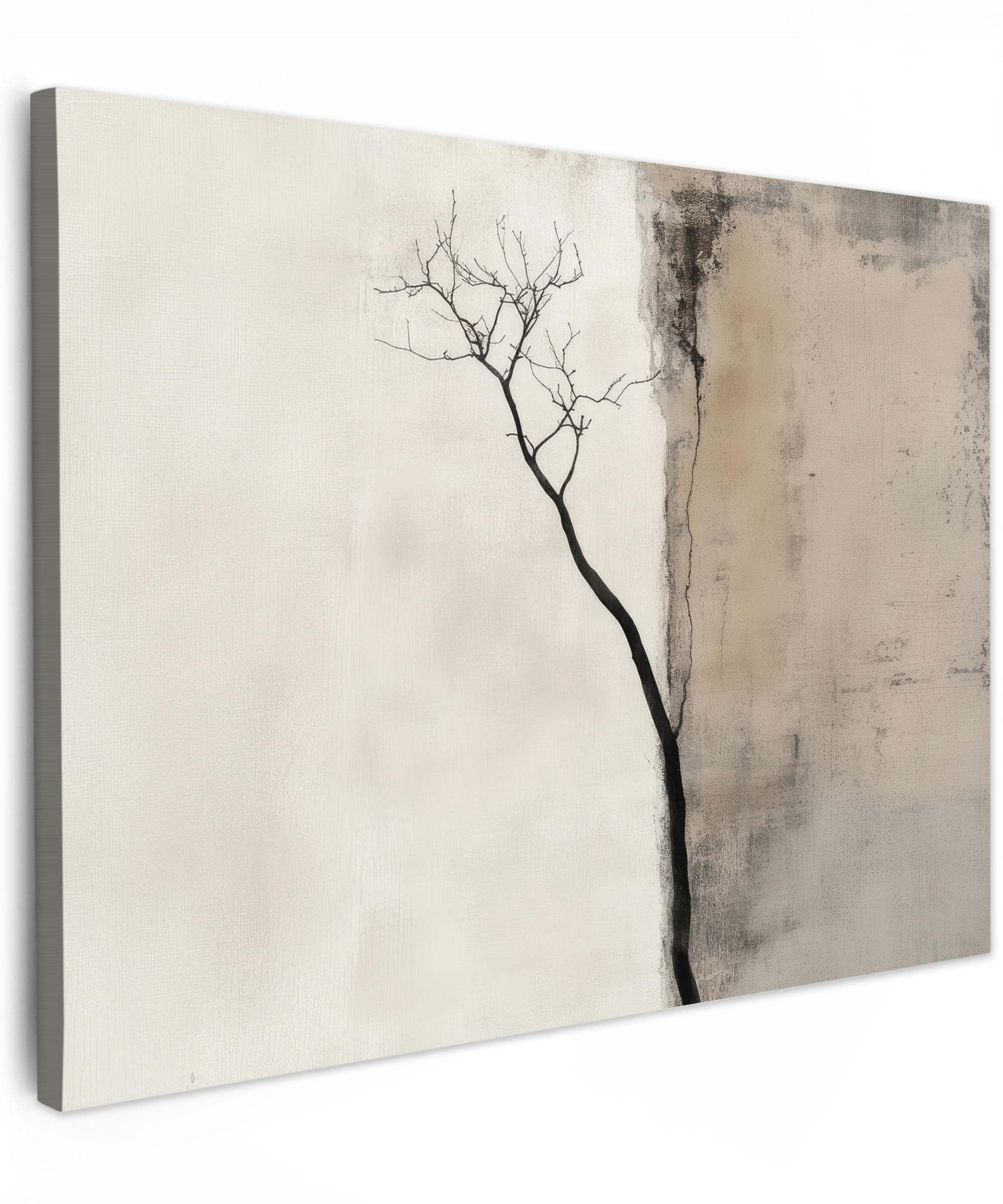 MuchoWow OBRAZ NA PLÁTNĚ Wabi sabi - Rostlina - Béžová 40x30 cm