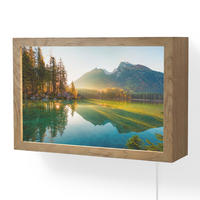 WANDLEUCHTE See - Wald - Berge - Natur - Sonne - Landschaft 30x20 cm - Grün, Holzwerkstoff (30/20/8cm) - OnlyWow