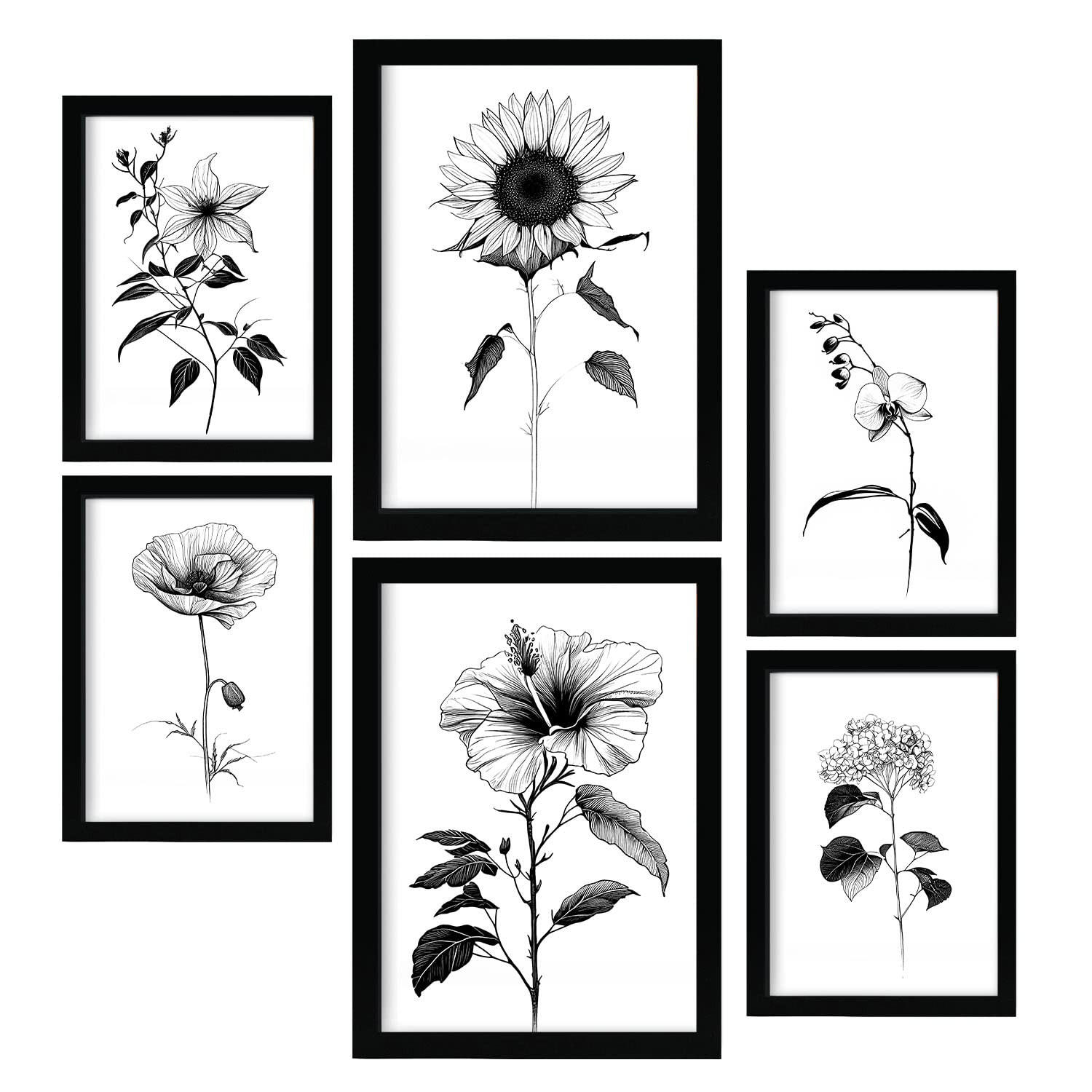 POSTER Set Mit 6 Helle Blumen Blumenmotiven In Klassischem Schwarz Und Weiß A3 & A4 Rahmenlos - Klar, Papier (29/3cm) - Nacnic