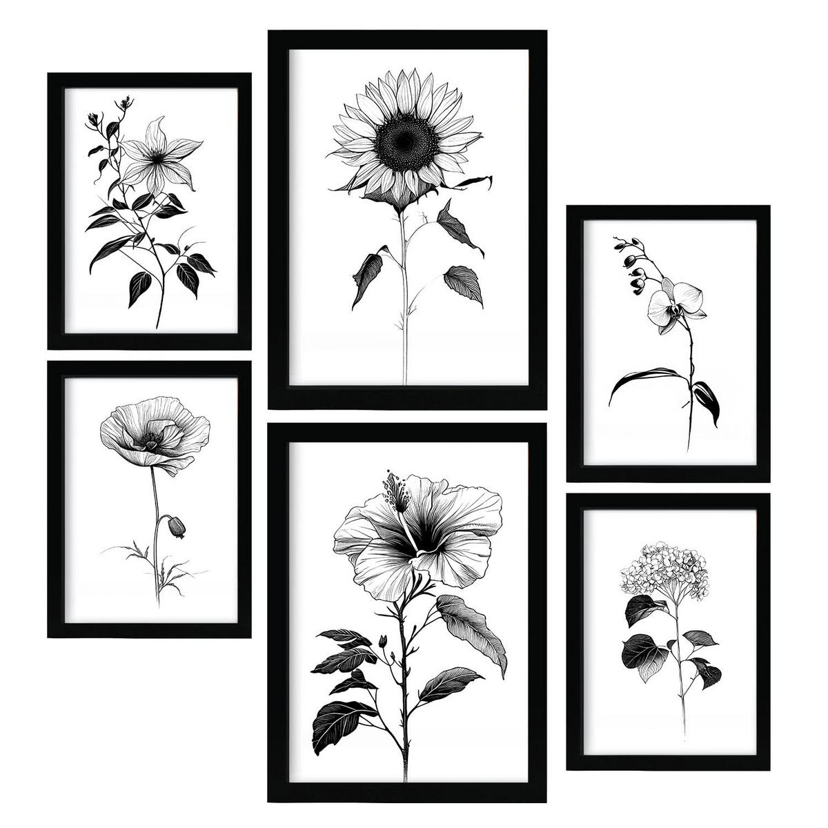 POSTER Set Mit 6 Strahlende Blume Größe A3 & A4 Schwarzer Rahmen - Schwarz, Papier (29.7/1cm) - Nacnic