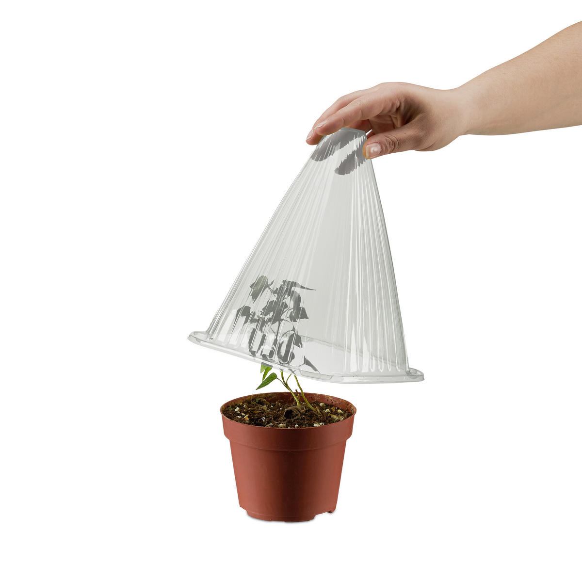 32XPFLANZENHUT - Grau, Kunststoff (19/22/19cm) - Relaxdays