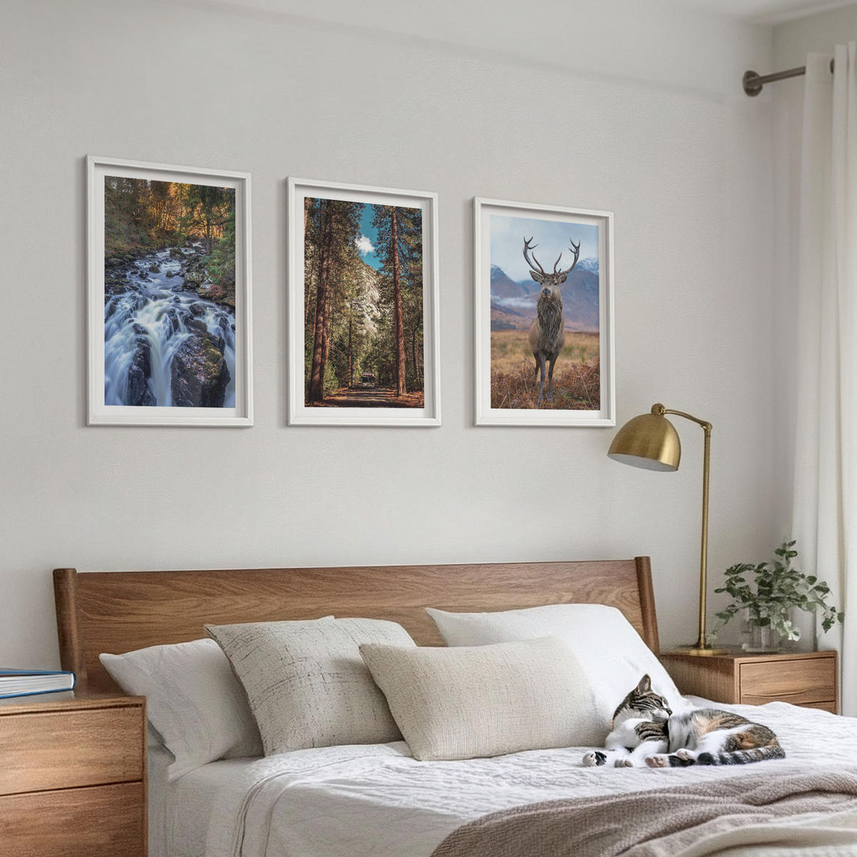 WANDBILDER 3er-Set - 40x60 cm Weißer Rahmen - Wasserfall Wald Berge Hirsch Natur - Weiß, Kunststoff (40/60cm) - ArtPrintCave