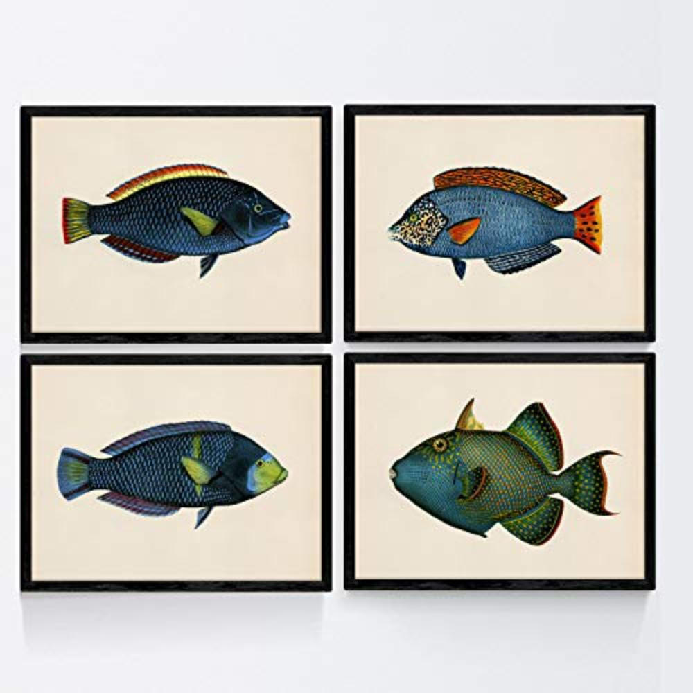 POSTER Set mit 4 Fischwirkung Jahrgang grüner blauer Ton A4 Rahmenlos - Klar, Papier (29.7/3cm) - Nacnic