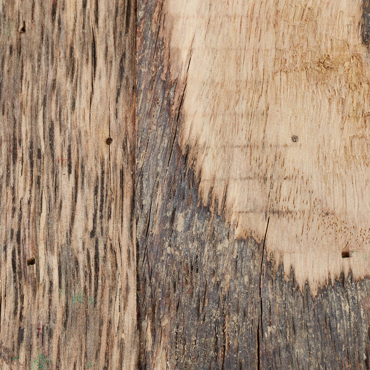 VOGELHAUS - Multicolor, Holz (17/30/11cm) - Relaxdays
