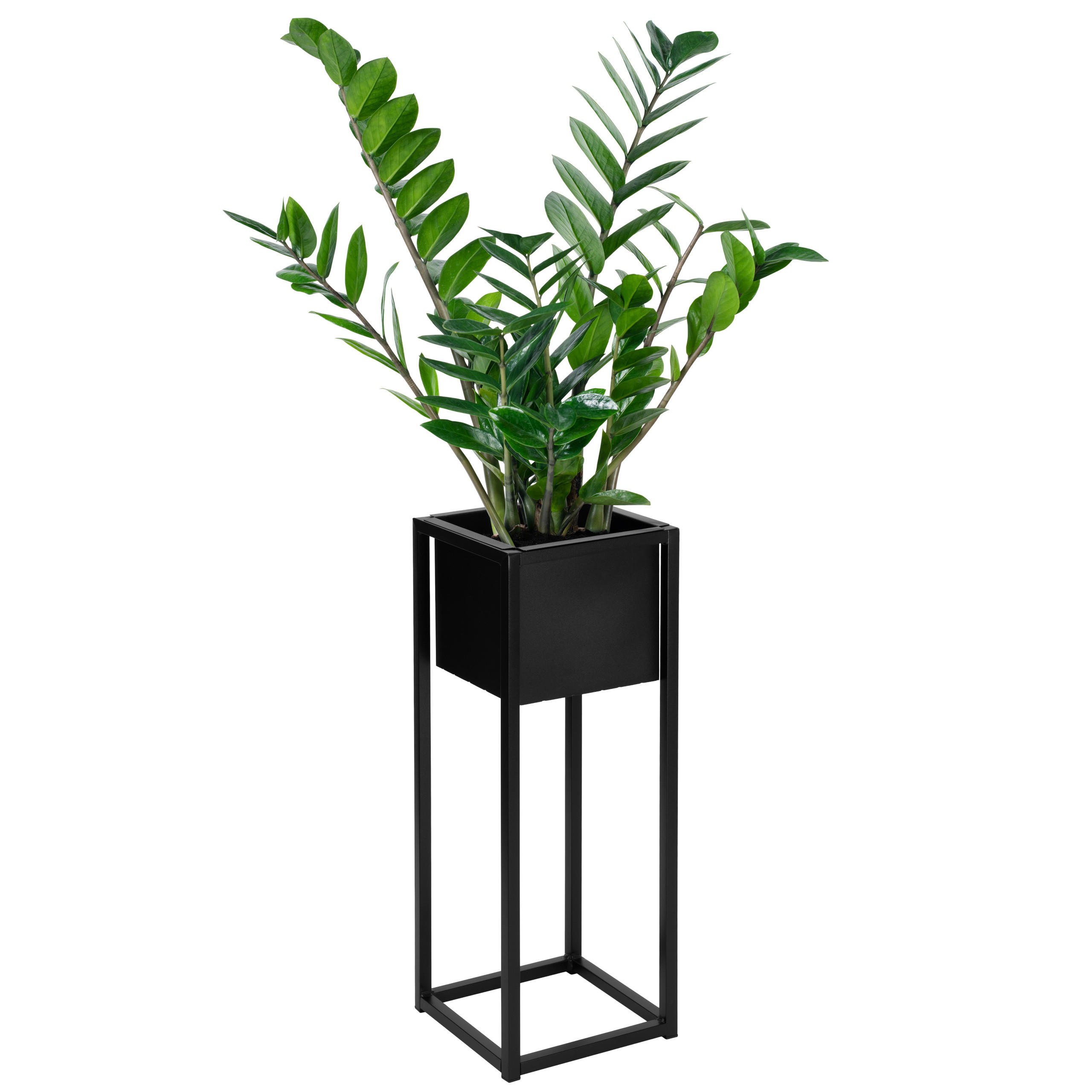BLUMENSTÄNDER Schwarz 60 cm - Schwarz, Metall (21.5/21.5/61cm) - Mat-Haus