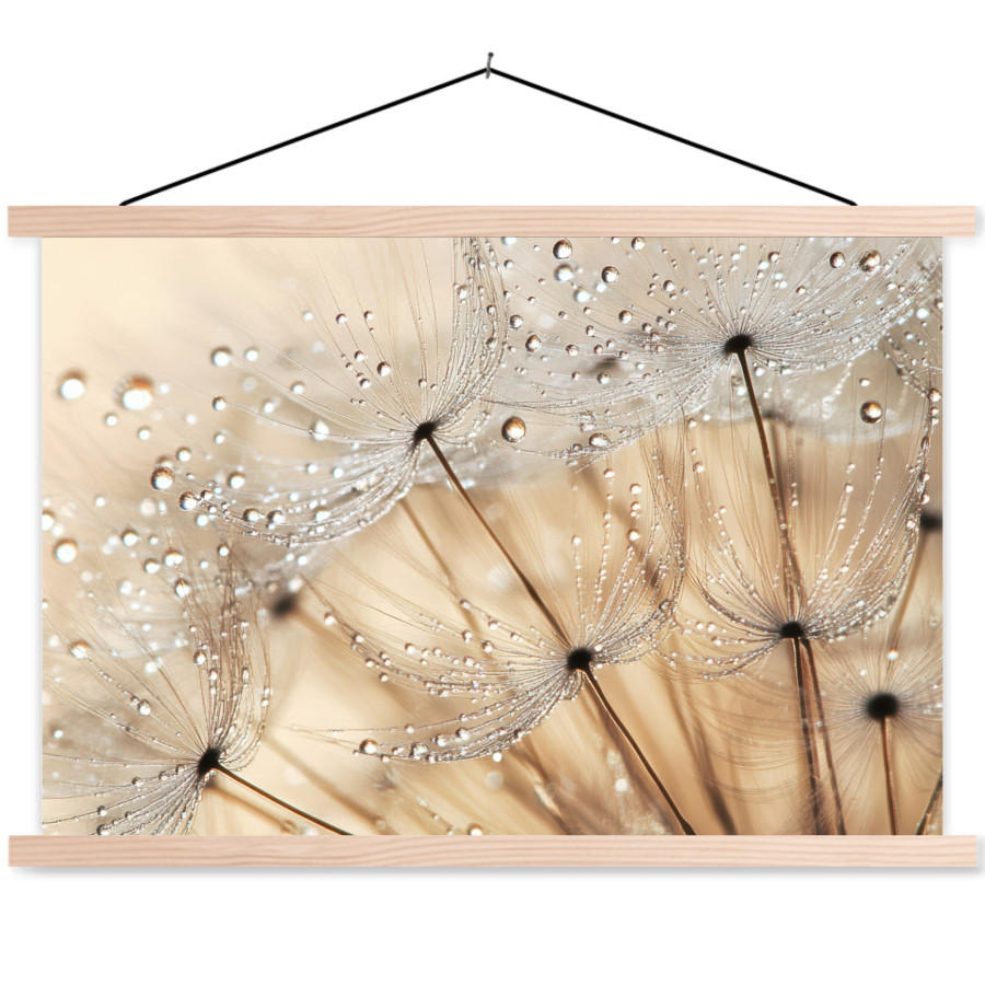 MuchoWow PLAKÁT S MAGNETICKOU LIŠTOU Pampeliška - Abstraktní - Příroda - Béžová 90x60 cm