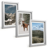 BILDER SET 3er Set - 20x30 cm Silberner Rahmen - Berge, Schnee, Hirsche, Waldlandschaft - Silberfarben, Kunststoff (20/30cm) - TULUP
