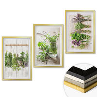 WANDBILDER 3er Set - 40x60 cm Goldrahmen - Kräuterpflanzen für die Küche - Goldfarben, Kunststoff (40/60cm) - ArtPrintCave