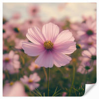 TAPETE - Blumen - Lila - Unscharf - 260x240 cm - Rosa, Papier (260/240cm) - OnlyWow
