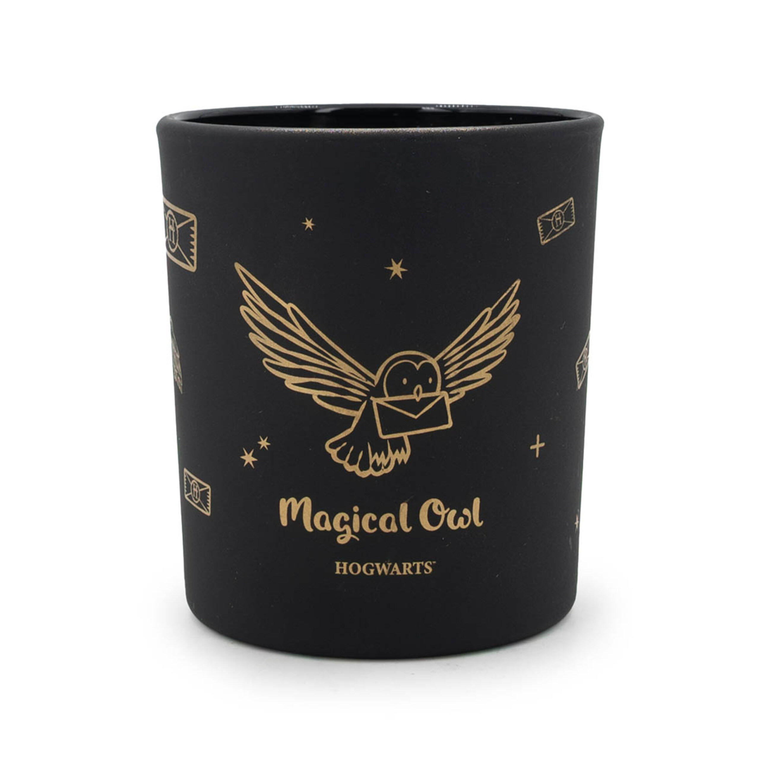 DUFTKERZE Harry Potter™ - Schwarz, Naturmaterialien/Glas (8.3cm)