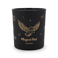 DUFTKERZE Harry Potter™ - Schwarz, Naturmaterialien/Glas (8.3cm)