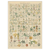 POSTER Wild Apple - Flora Chart I - Grün, Papier (50/70/0.1cm) - Poster&Frame