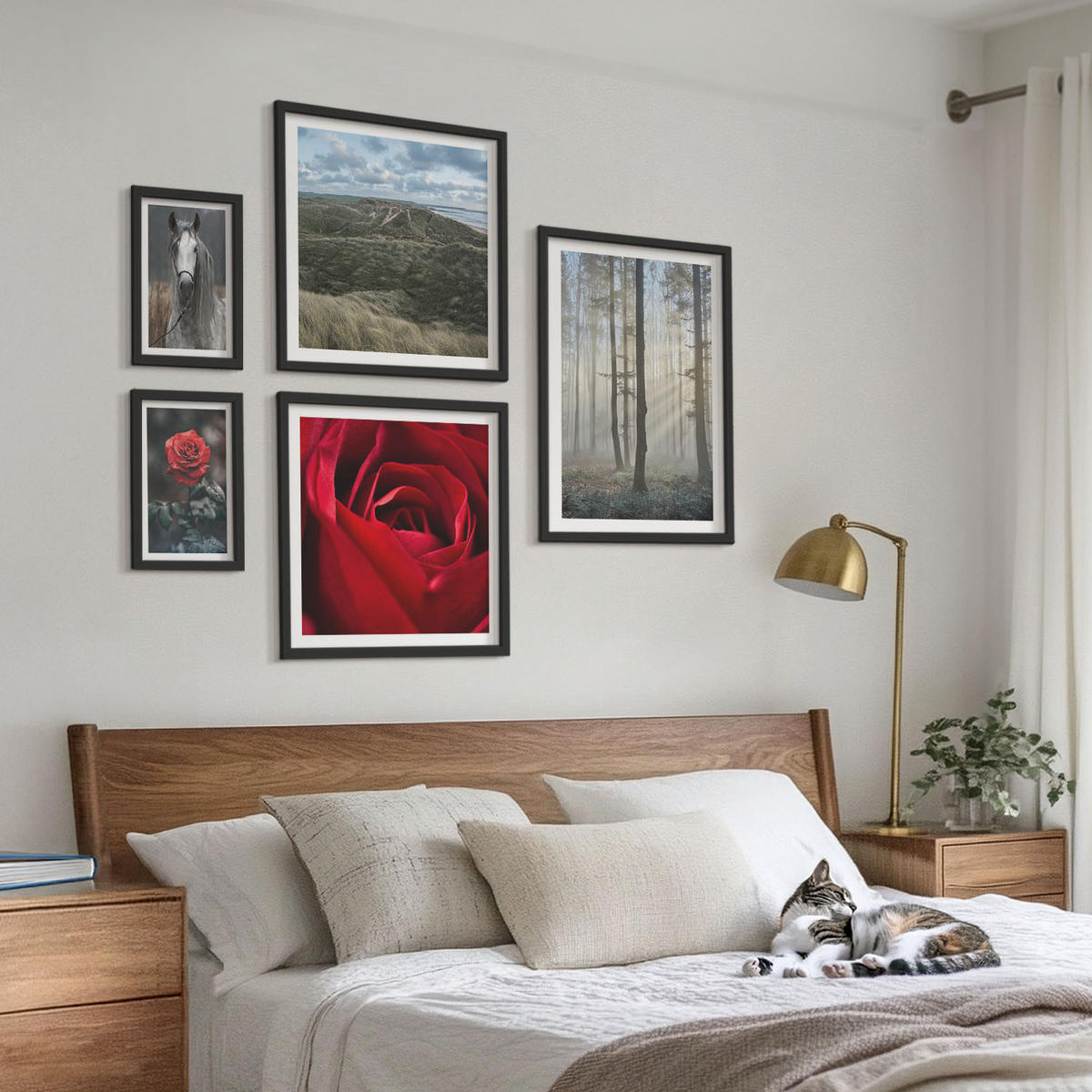 WANDBILDER 5er-Set - 50x50 cm & 20x30 cm & 40x60 cm Schwarzer Rahmen - Rote Rosen auf pferdegrauem Hintergrund - Schwarz, Kunststoff (40/60cm) - ArtPrintCave