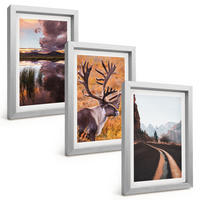 BILDER SET 3er Set - 20x30 cm Silberner Rahmen - Berglandschaften mit Rentieren - Silberfarben, Kunststoff (20/30cm) - TULUP