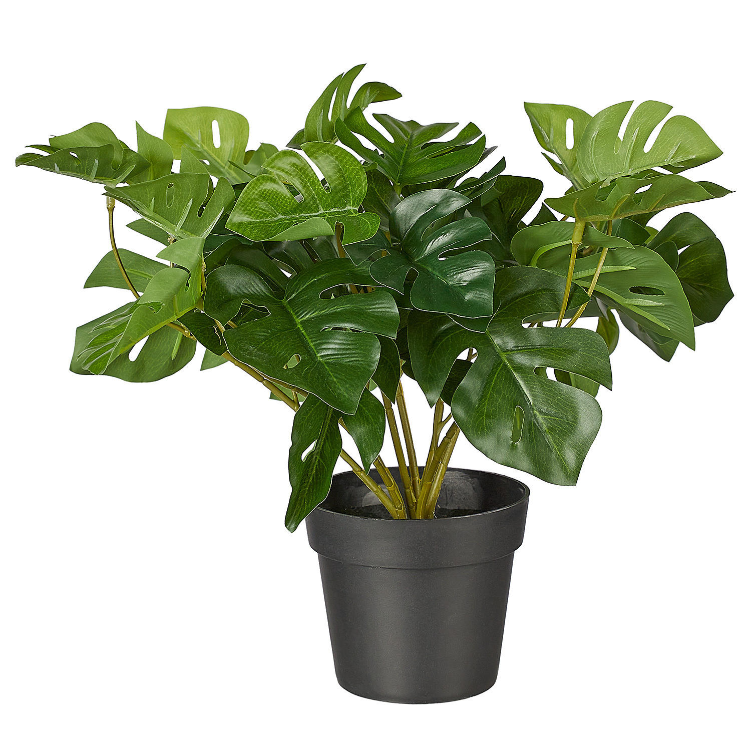 KUNSTBLUME Florista Monstera - Grün, Kunststoff (25cm) - Butlers