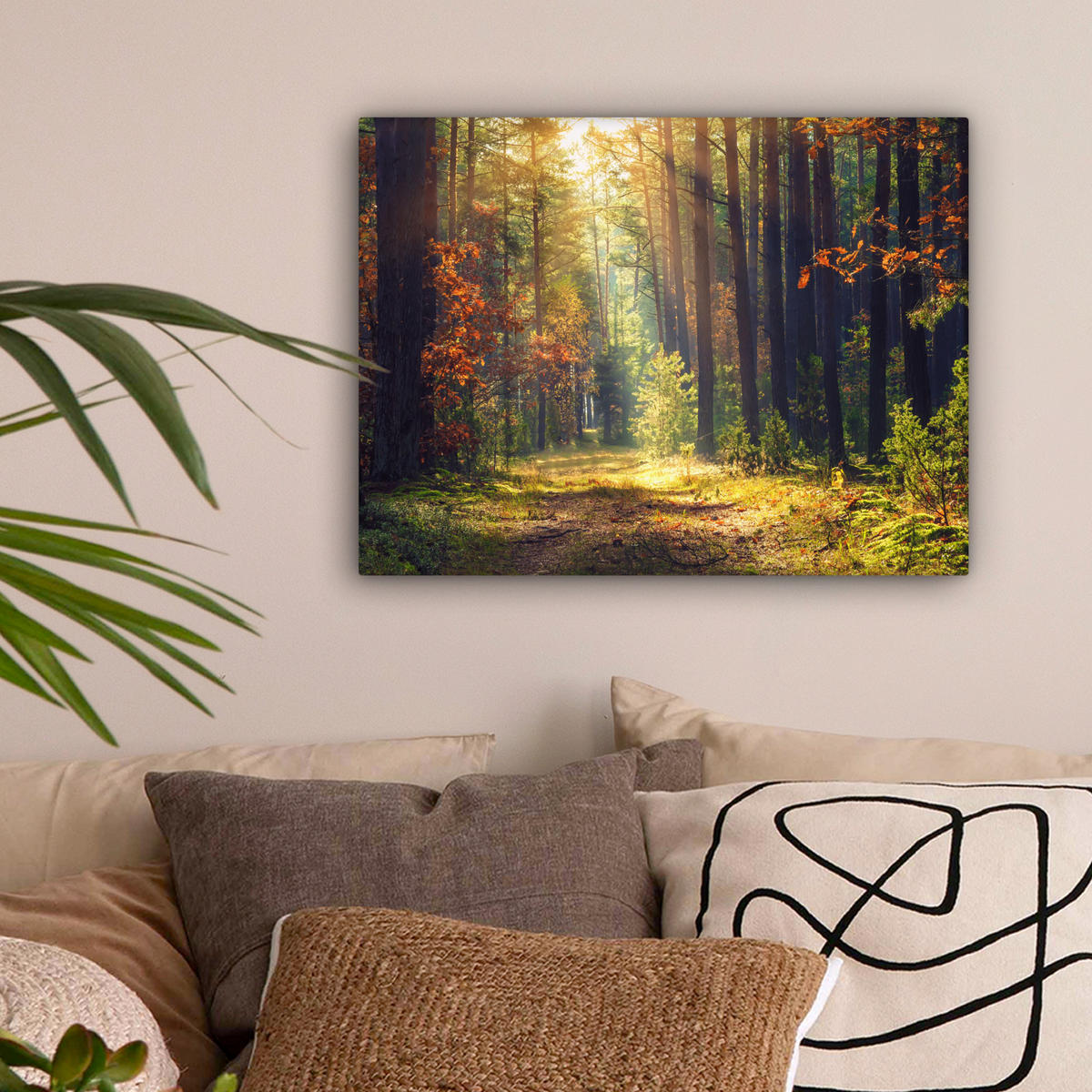 LEINWANDBILD Wald - Herbst - Bäume 40x30 cm - Dunkelgrün, Textil (40/30cm) - MuchoWow