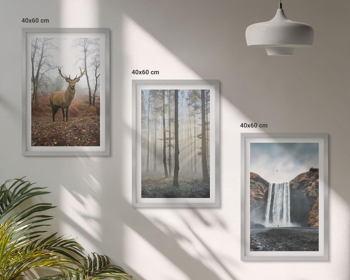 BILDER SET 3er Set - 40x60 cm Silberner Rahmen - Waldlandschaften, wilde Natur - Silberfarben, Kunststoff (40/60cm) - TULUP