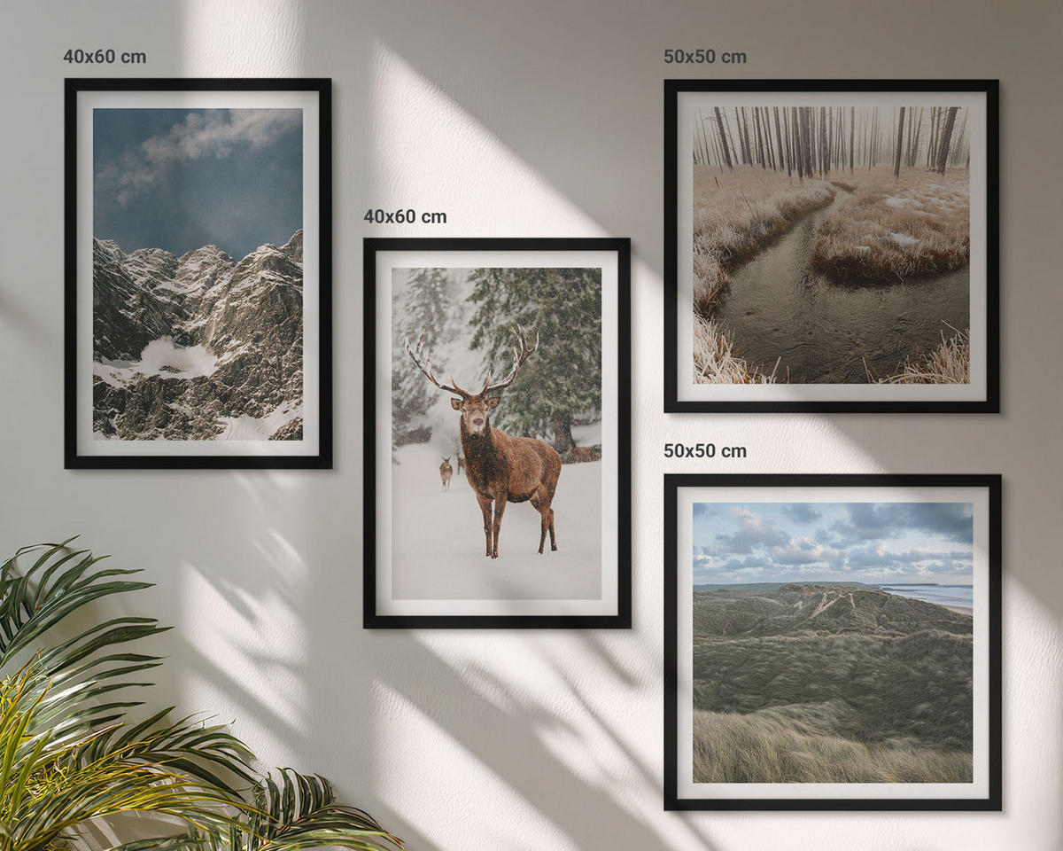 BILDER SET 4er Set - 50x50 cm & 40x60 cm Schwarzer Rahmen - Berge, Schnee, Hirsche, Waldlandschaft - Schwarz, Kunststoff (50/50cm) - TULUP