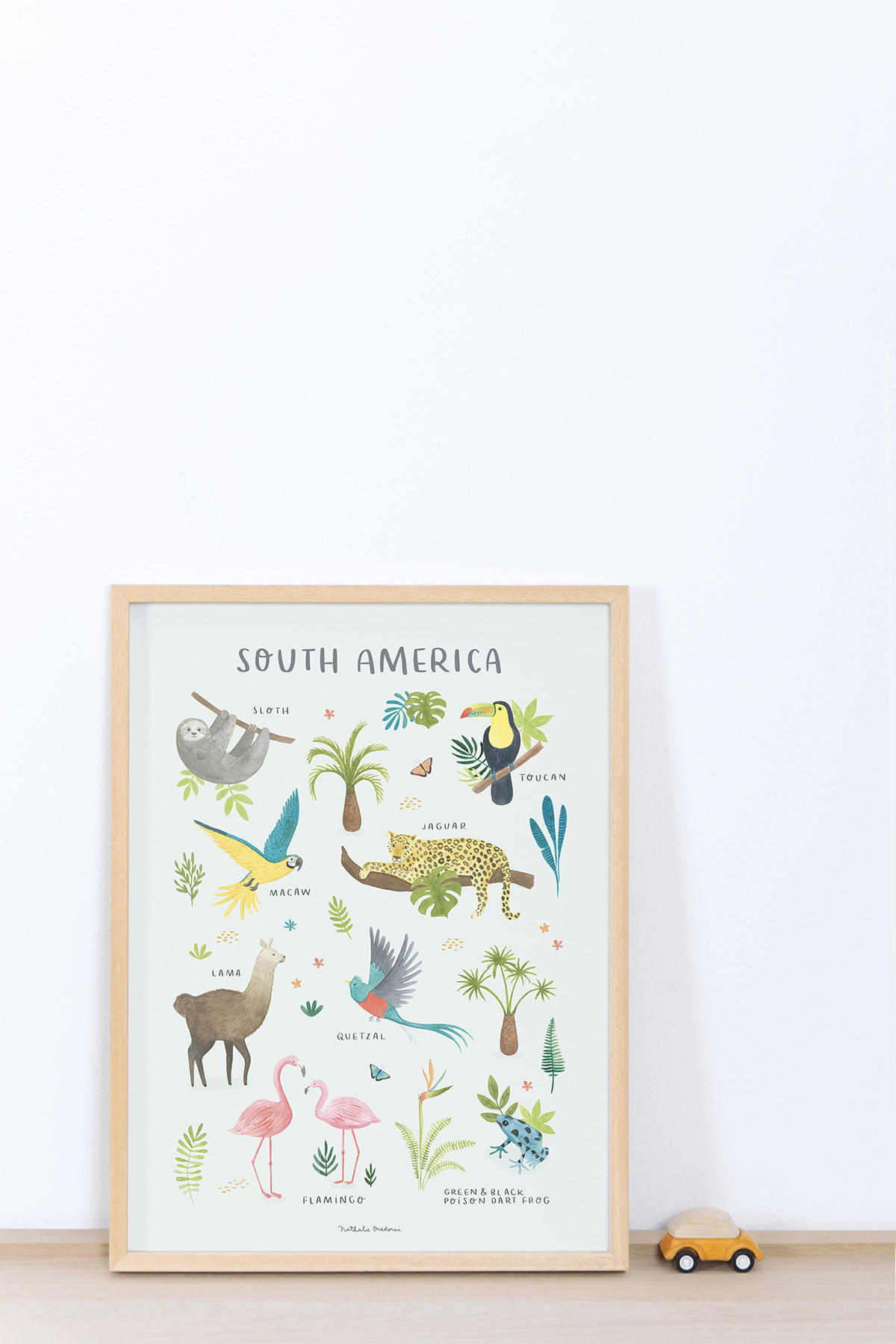 POSTER Tiere aus Südamerika, 30x40 cm - Multicolor, Papier (30/1/40cm) - Lilipinso