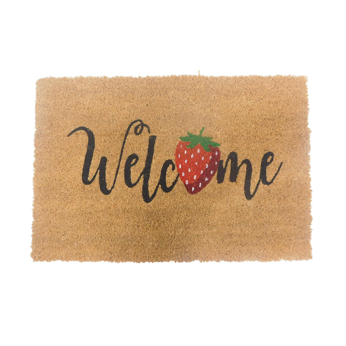 FUSSMATTE - Multicolor, Kunststoff/Textil (60/40cm) - Relaxdays