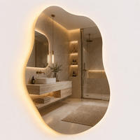 BADSPIEGEL Silber LED Anti-Beschlag Touch 80x52 cm - Transparent, Glas/Kunststoff (52/80/3cm) - Relaxdays
