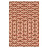TEPPICH Indoor Outdoor elegant terracotta - Terracotta, Textil (160/230cm) - AFK Living