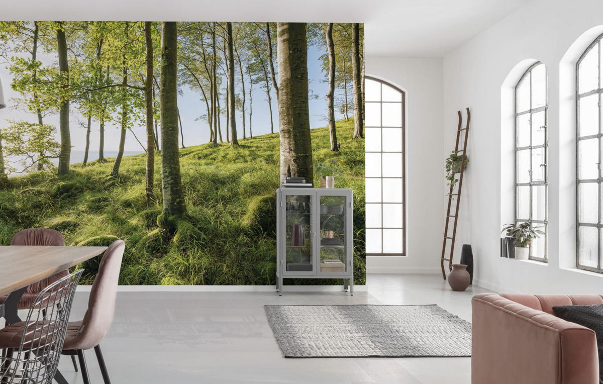 FOTOTAPETE Landschaft 450 x 280 cm - Grün, Papier (450/280cm) - Sanders & Sanders